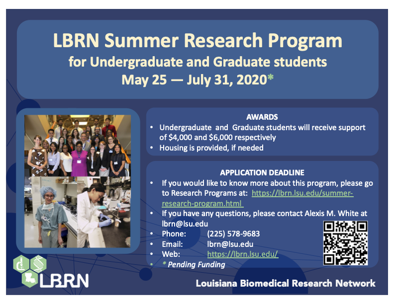 summer research program melbourne